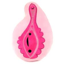 Vagina + Vulva Plush - Hooray for The Va-Jay-Jay I Heart Guts :  Amazon.com.au: Toys & Games