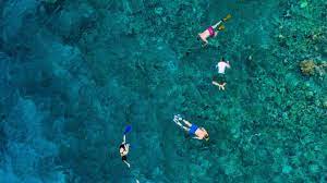 Thirteen Of The Best Snorkelling Spots In Sydney You Should Bookmark For Summer Concrete Playground