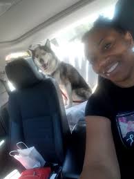 Lost dog Blue in Arbuckle area