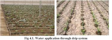 Micro Irrigation Systems Design Lesson 4 Types Of Micro Irrigation Systems