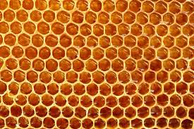 Nature Symmetry 10 Top 20 Beautiful Examples Of Symmetry In Nature Geometry In Nature Patterns In Nature Nature Design