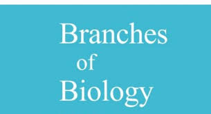 Invertebrates are a broad category of animals that lack a vertebral column. Quiz On Branches Of Biology Quiz Accurate Personality Test Trivia Ultimate Game Questions Answers Quizzcreator Com