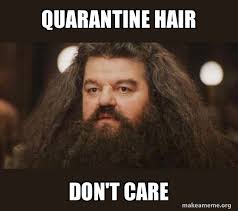 Long hair dont care 352 gifs. Quarantine Hair Don T Care Hagrid I Should Not Have Said That Make A Meme