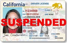 Will i take the drive test? How Can I Check The Status Of My California Driver S License