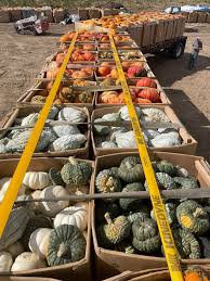 Image result for tbn:0PJB32OL7JwfOM::farm4.static.flickr.com/3324/3329876139_f2d551139f.jpg