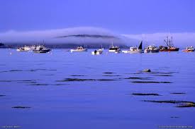 bar island bar harbor acadia national park