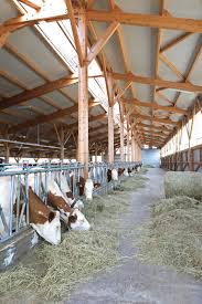 Un dimanche à la ferme posts. Photos Un Dimanche A La Ferme Le 4 Aout Au Gaec Des Trois Chenes A L Hopital Du Grosbois