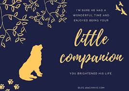 He'll always hold a special place in your heart. Sympathy Card Messages 50 Heartfelt Examples To Ease The Pain 365canvas Blog