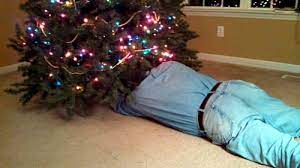 Jaye schweitzer on dec 04, 2016 Christmas Tree Water Garden Myths