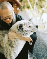 I have akita puppies for the akita, both american and japanese are a very powerful, strong willed dog. Monk And His Akita Akita Dog Akita Puppies Akita