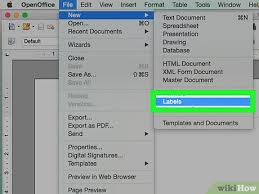 Bei einer bestellung erhalten sie von uns, bevor wir mit dem druck ihrer bücher beginnen, eine verbindliche vorschau. How To Print Address Labels Using Openoffice With Pictures