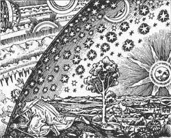 Colorado river toad is a species of toad belonging to the family bufonidae, found in southwestern united states and northern mexico. Bufo Alvarius Colorado River Toad Sonoran Desert Toad 5 Meo Dmt