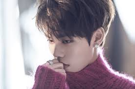 Chinese Singer Evan Lin Talks China Idol Era: 'New Idols Are Born Every Day  Here'