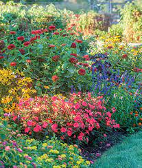 Even gardeners who feel they kill everything they bring indoors have choices in plants that thrive on neglect and still offer a blast of color. How To Grow A Flower Garden Flower Gardening Tips Advice Burpee