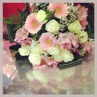 Fiori Per I 18 Anni Quali Fiori Regalare