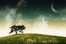 Get 0 001btc Free Sign Up Bonus And Earn Perbankan Dunia Jenewa