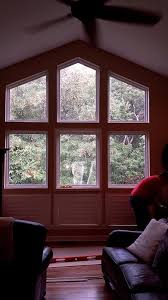 The blind spot has been providing window coverings for over 18 years to customers in denver and surrounding area's. Specialty Shapes Columbia Blinds And Shutters