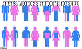 Gender Chart 58 Genders Memes Imgflip