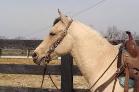 CONSIGNED "GENUINE DUSTY...