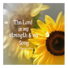 Yellow sunflower with black background, flowers, yellow flowers. Sunflower Bible Verse Art Wall Decor Zazzle