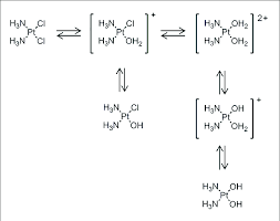 Cisplatin Equilibrium In Aqueous Medium Where It Exchanges Chloride Download Scientific Diagram