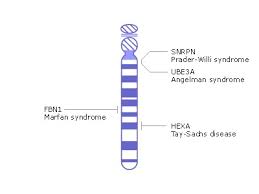 Chromosome Map Genes And Disease Ncbi Bookshelf