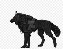 Big bad wolf casino game is powered by quickspin and it was launched in 2013. Big Bad Wolf Png Download 1280 990 Free Transparent Gray Wolf Png Download Cleanpng Kisspng
