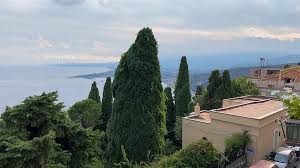 Image result for Chiaro Di Luna 1961 Piaggio