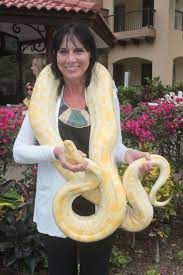 Pin By Julie Renee On I Like Spiders And Snakes Boa Constrictor Pet Snake Burmese Python