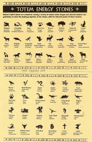 Totem Energy Animal Meanings Native American Animals Totem