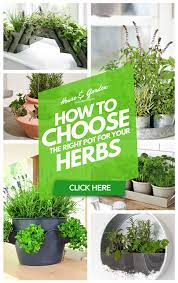 15 Unique Herb Planter Ideas Herb Pots Planter Outdoors Indoor Easydiy Herb Planters Herbs Hanging Herb Gardens