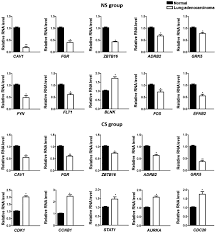 Image result for Ac 104: Introduction to Accounting II