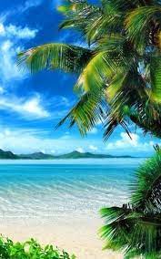 Sign In Beach Wallpaper Beautiful Beaches Beach Landscape