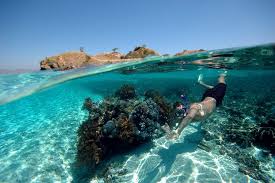Raja ampat snorkeling is guaranteed to be memorable. 10 Of The World S Best Snorkeling Destinations Travel Smithsonian Magazine