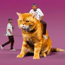 On tamale, tyler shows off his most insane and wacky bars, with references to the eighth song from wolf 48, his controversial major label debut, and tons of celebrity… in the beginning of the music video there is a picture of a tamale. Watch Tyler The Creator Tamale Acclaim Magazine