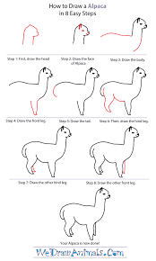 Draw An Alpaca Within Eight Steps Alpaca Drawing Easy Drawings Llama Painting