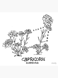 Maybe you would like to learn more about one of these? Floral Constellations Capricorn Magnet By Zoazig In 2021 Capricorn Tattoo Constellations Capricorn Constellation Tattoo