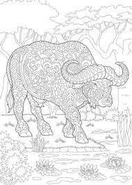 Maybe you would like to learn more about one of these? 1 549 African Buffalo Stock Illustrations Cliparts And Royalty Free African Buffalo Vectors