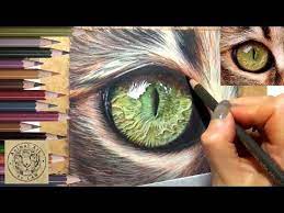 Then, draw the outline of the legs and paws, making the hind legs more. Realistic Cat Eye In Coloured Pencil Timelapse Youtube Black Paper Drawing Colored Pencils Color Pencil Art