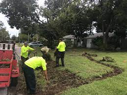 Home > insulation, tampa, fl > insulation replacement, tampa, fl. General Sod Tampa Home Facebook