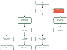 Colorectal cancer affects the colon and rectum. Rectal Cancer Esmo Clinical Practice Guidelines For Diagnosis Treatment And Follow Up Annals Of Oncology