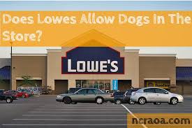Ultimately, it's up to the customer to understand the policies in place and to prepare in advance to avoid issues on the day of travel. Does Lowes Allow Dogs Inside Is It Dog Friendly 2020 Store Pet Policy National Canine Research Association Of America