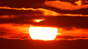 Vector forest, sunset forest, nature, sky, atmosphere, darkness. Free Photo Red Sky Background Backgrounds Clear Empty Free Download Jooinn