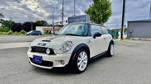 Image result for Pure Silver 2010 Mini