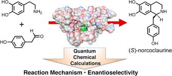 Here is a list of many named reactions. Enzymatic Pictet Spengler Reaction Computational Study Of Mechanism And Enantioselectivity Of Norcoclaurine Synthase Journal Of The American Chemical Society X Mol