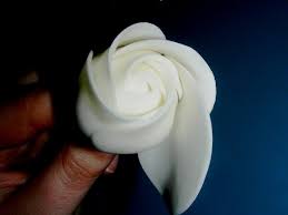 Wir machen eine ziemlich große blume, also habe ich eine handvoll fondant verwendet. Anleitung Fur Eine Rose Aus Blutenpaste