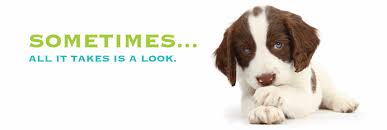We have a new state of the art facility that includes the be. Ventura County Animal Services