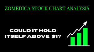 Write your thoughts about zomedica pharmaceuticals corp. Ekkeyitqdsuyim