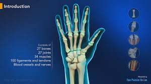 The biomechanical robotics group is on kickstarter looking to fund a 3d printed prosthetic hand that moves and grips like a biological human hand. Hand Anatomy Video Medical Video Library