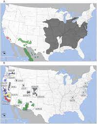 Plos One Population Structure Of Geosmithia Morbida The Causal Agent Of Thousand Cankers Disease Of Walnut Trees In The United States